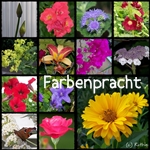 logo_farbenpracht.jpg